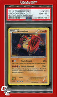 XY Black Star Promo XY52 Groudon Holo PSA 8
