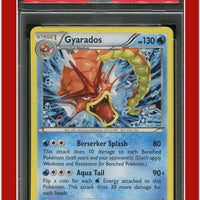 XY Black Star Promo XY109 Gyarados Holo PSA 5