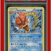 XY Black Star Promo XY109 Gyarados Holo PSA 8