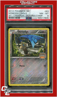 XY 83 Honedge Holo Crosshatch 2014 Autumn Regional Championships PSA 8
