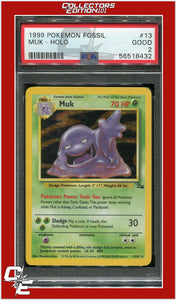 Fossil 13 Muk Holo PSA 2