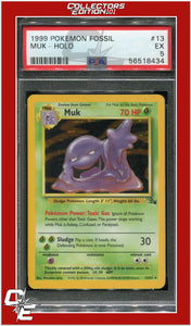 Fossil 13 Muk Holo PSA 5