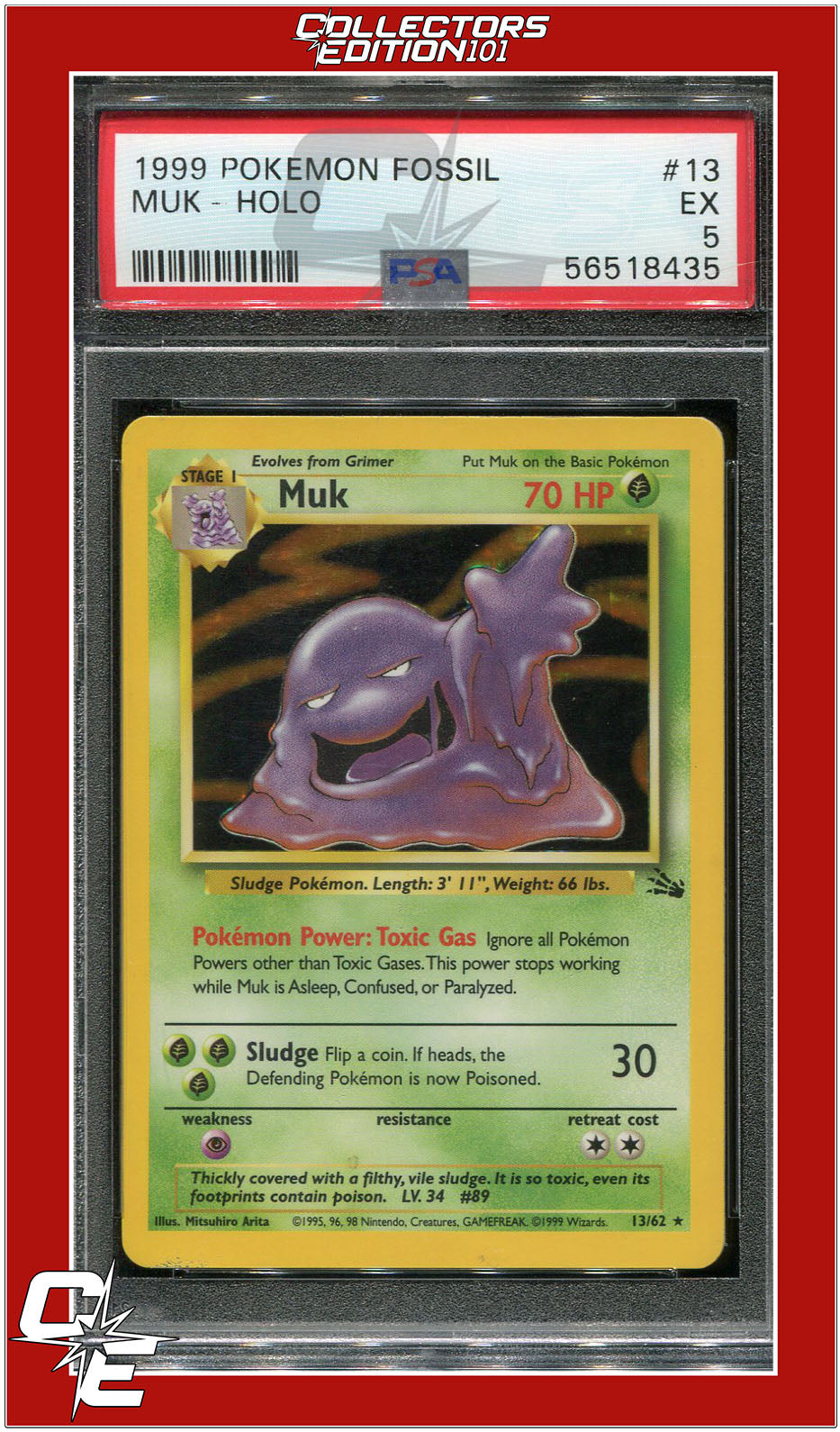 Fossil 13 Muk Holo PSA 5