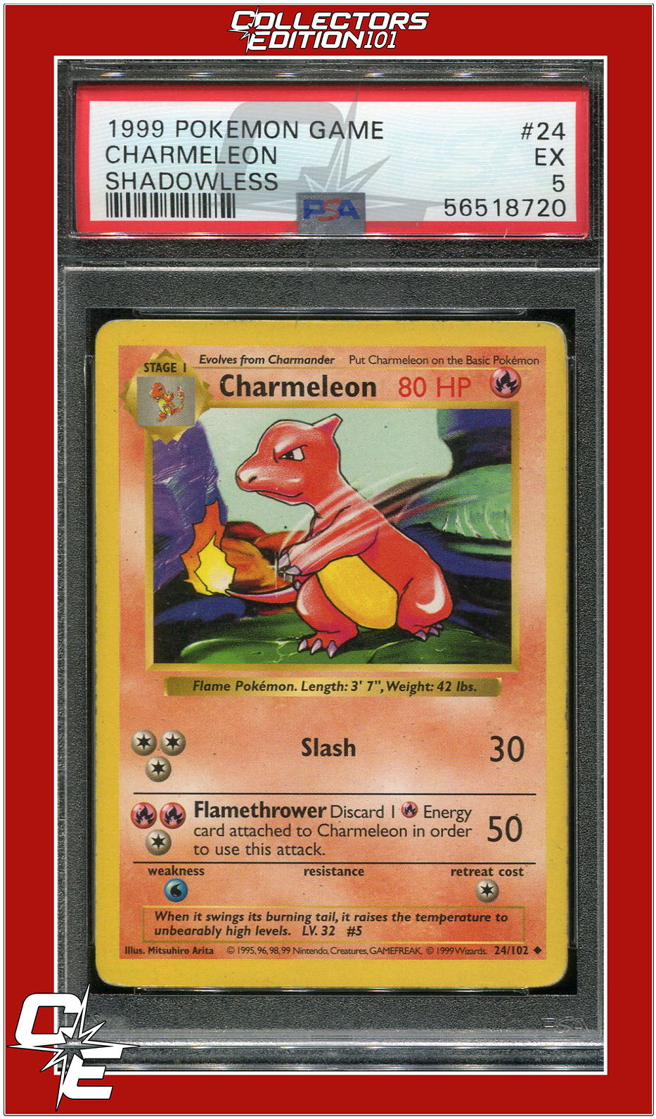 Base Set 24 Charmeleon Shadowless PSA 5