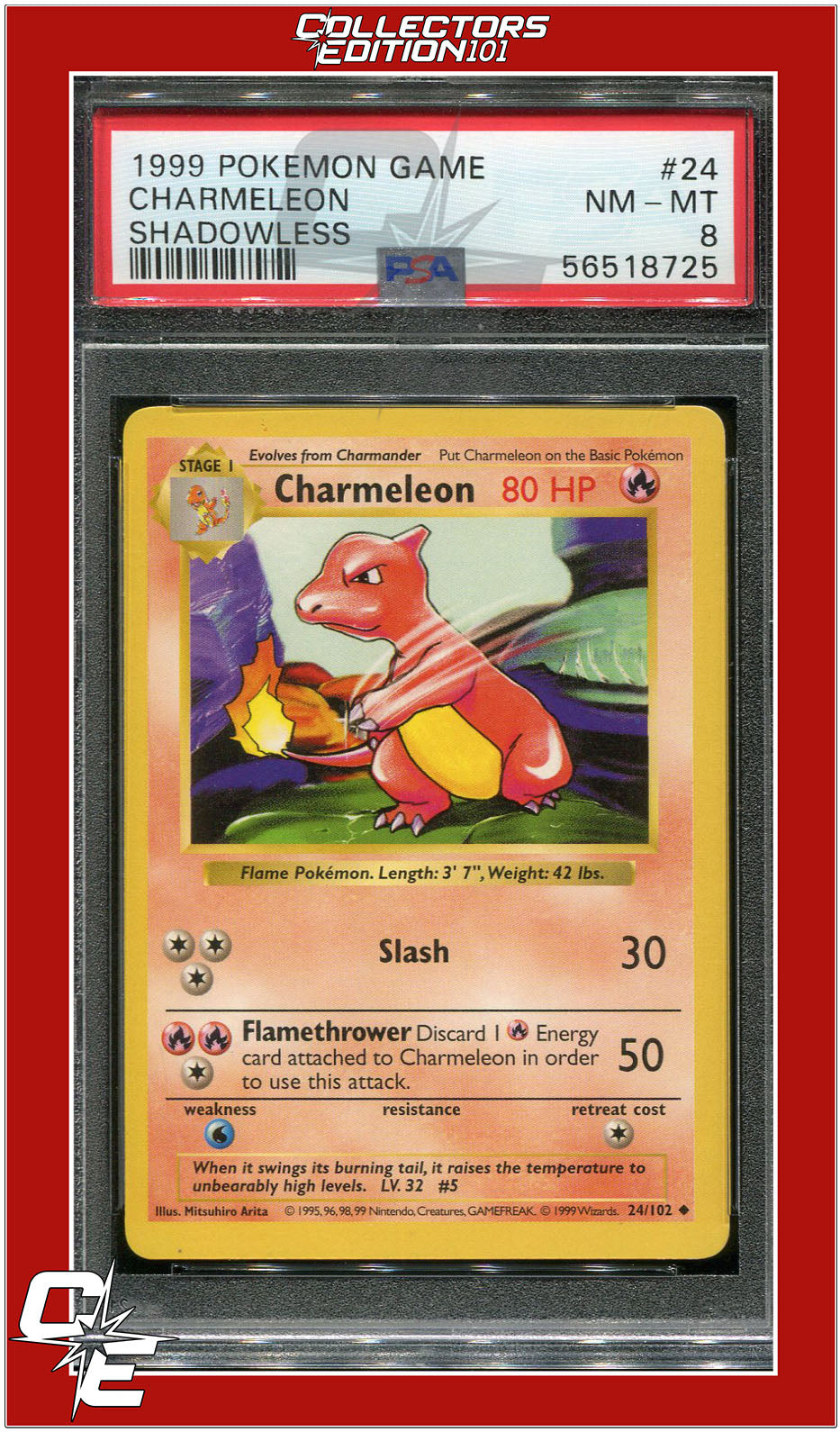 Base Set 24 Charmeleon Shadowless PSA 8