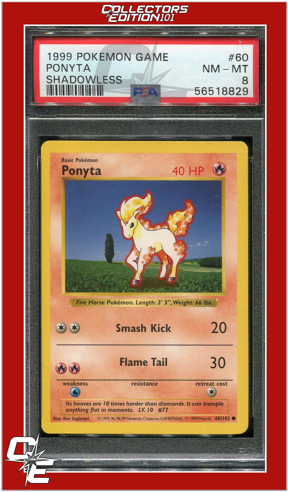 Base Set 60 Ponyta Shadowless PSA 8