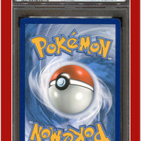 Vivid Voltage 025 Charizard Holo Cracked Ice PSA 10