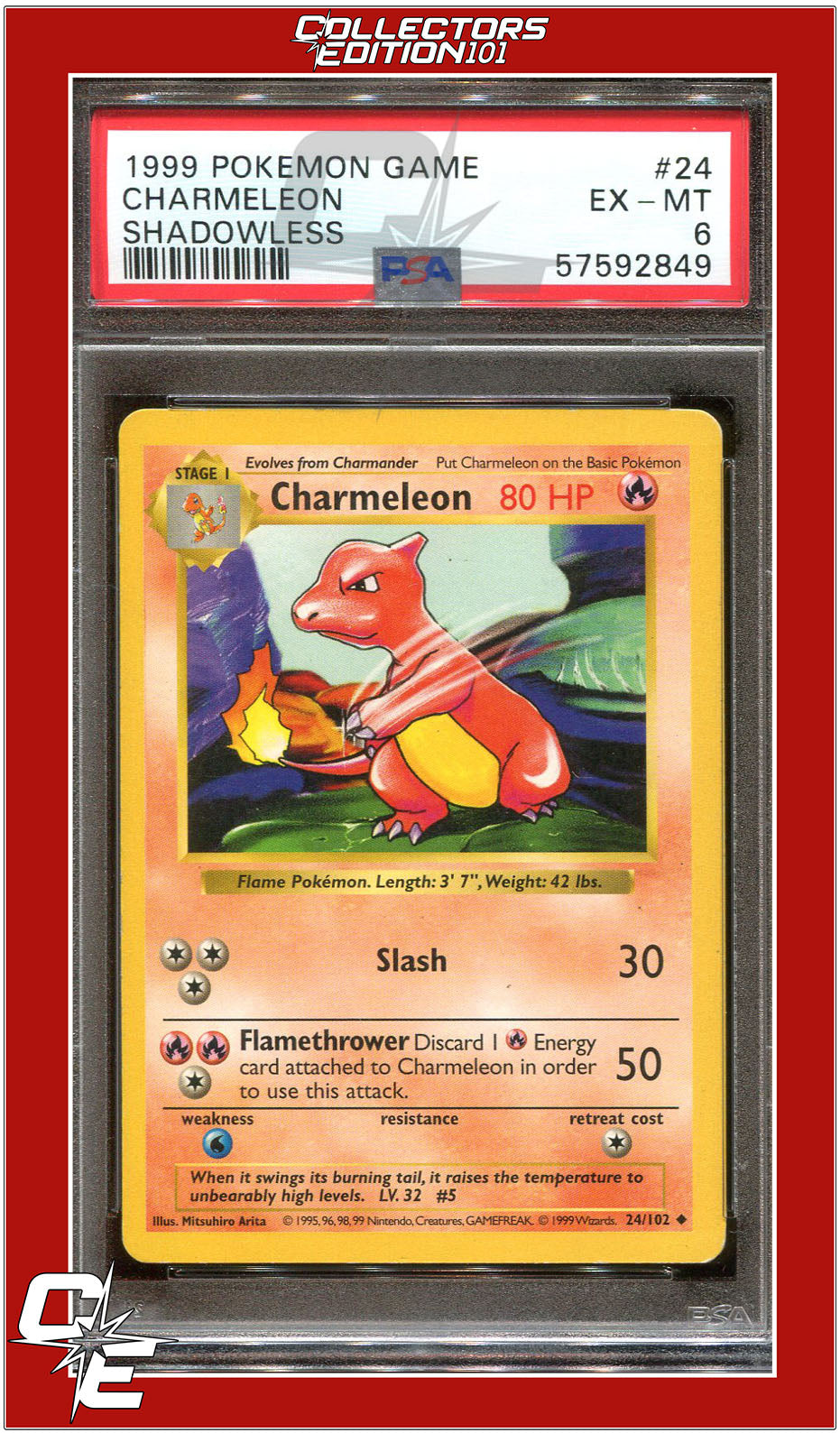 Base Set 24 Charmeleon Shadowless PSA 6