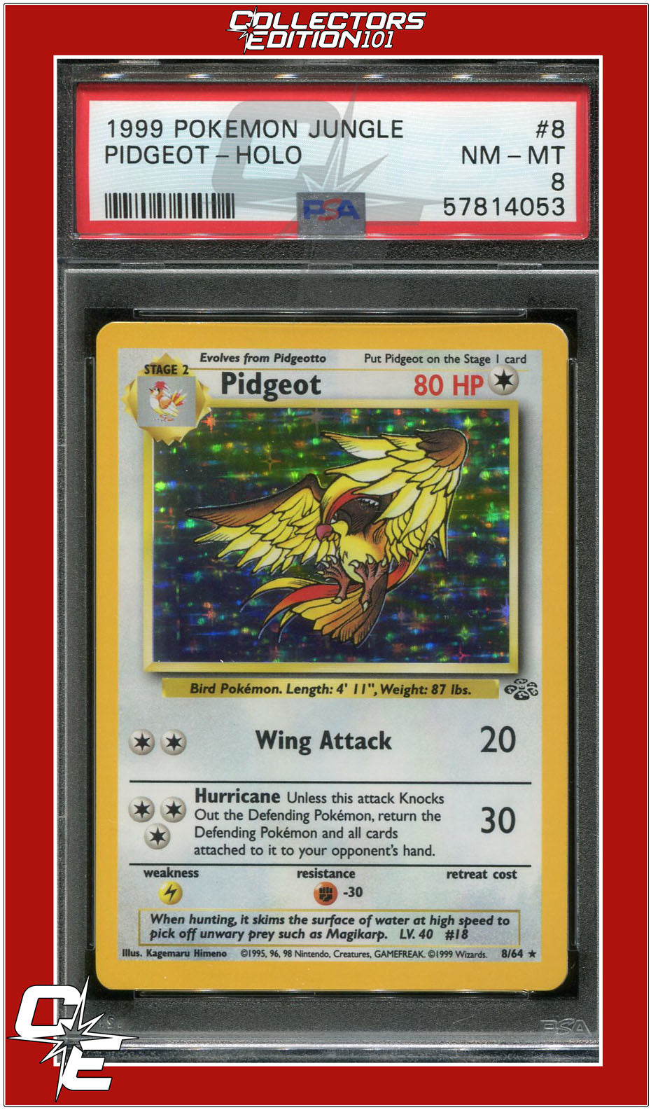 Jungle 8 Pidgeot Holo PSA 8