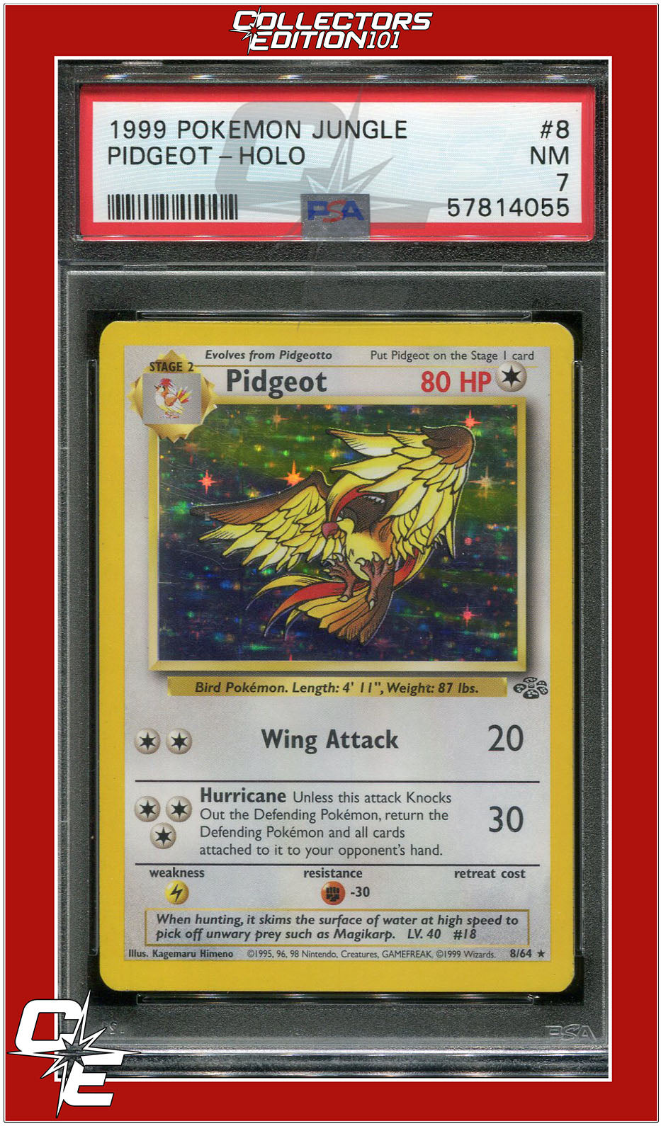 Jungle 8 Pidgeot Holo PSA 7