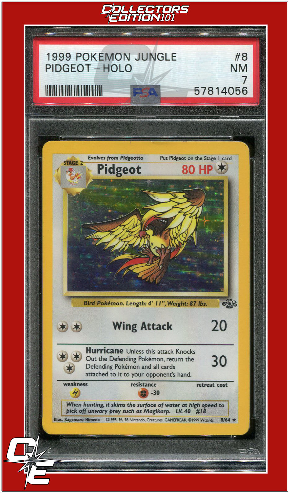 Jungle 8 Pidgeot Holo PSA 7