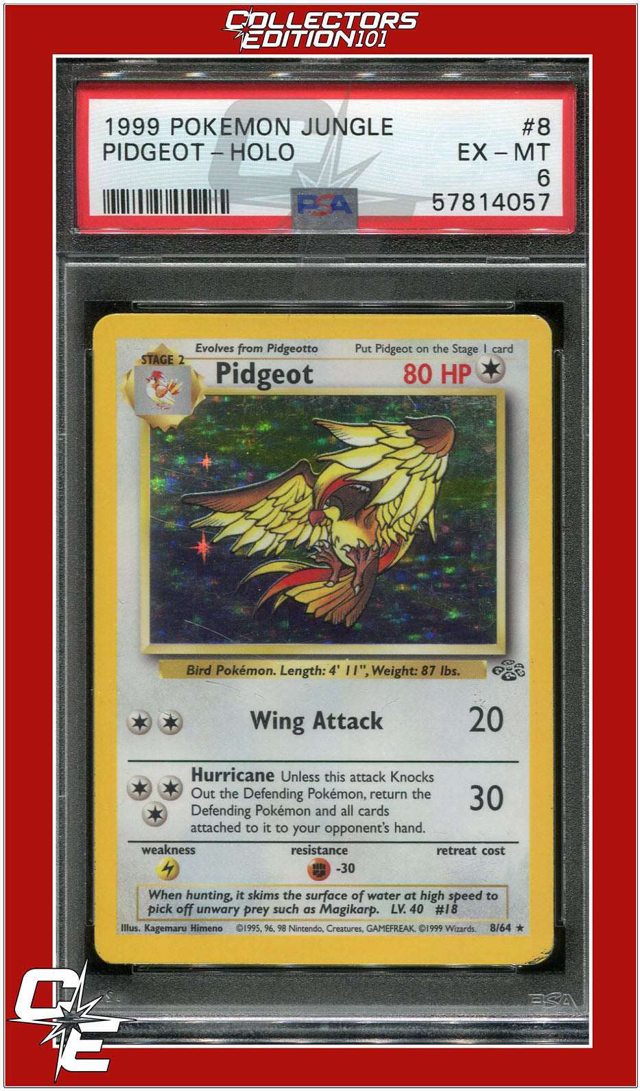 Jungle 8 Pidgeot Holo PSA 6