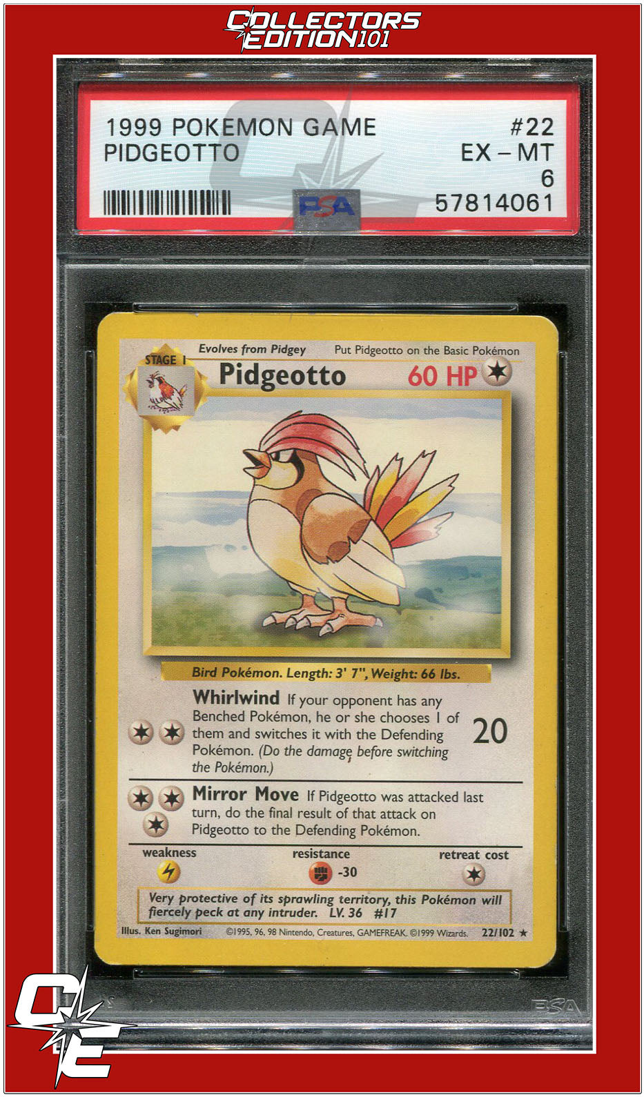 Base Set 22 Pidgeotto PSA 6