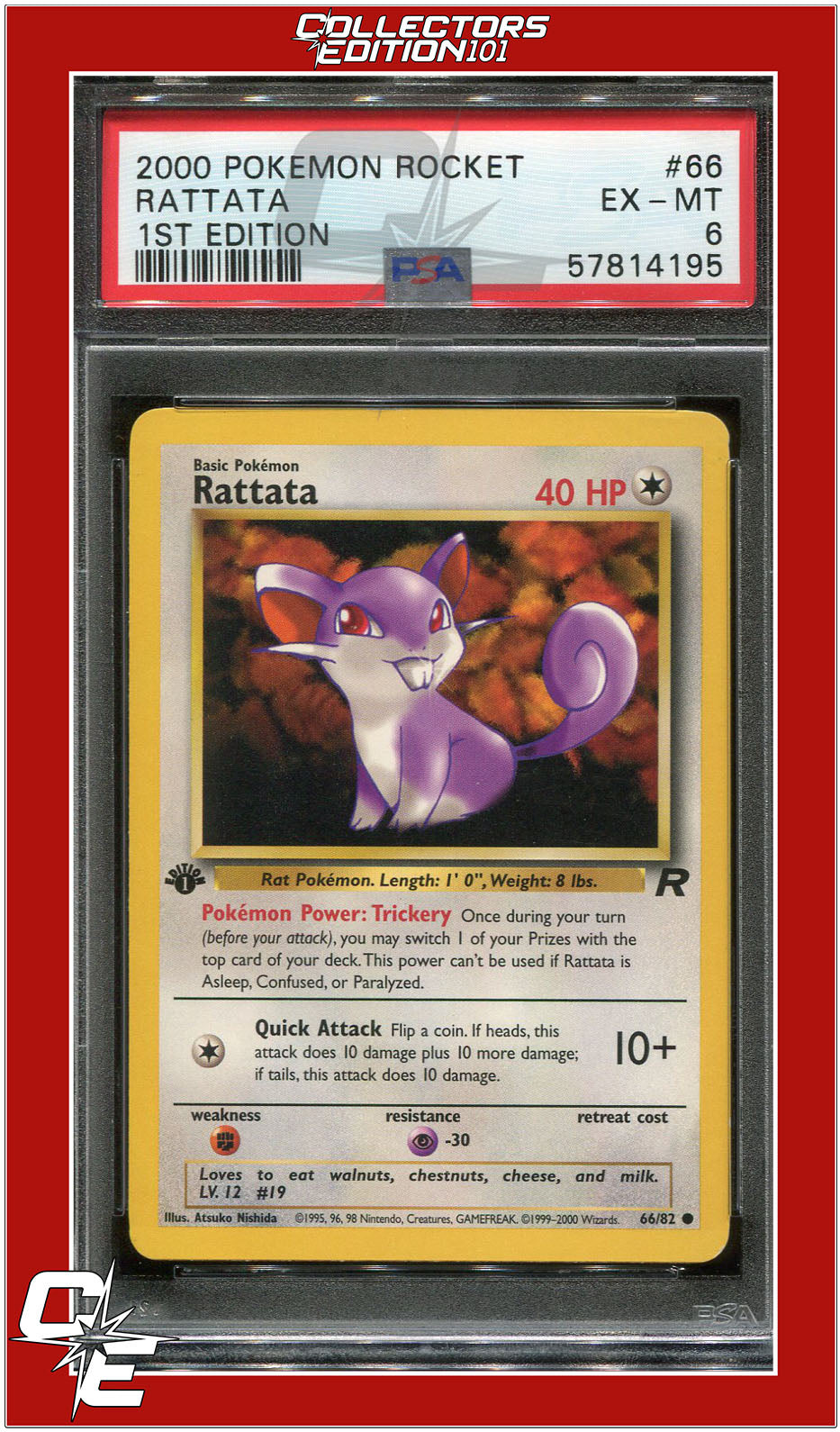 Team Rocket 66 Rattata 1st Edition PSA 6