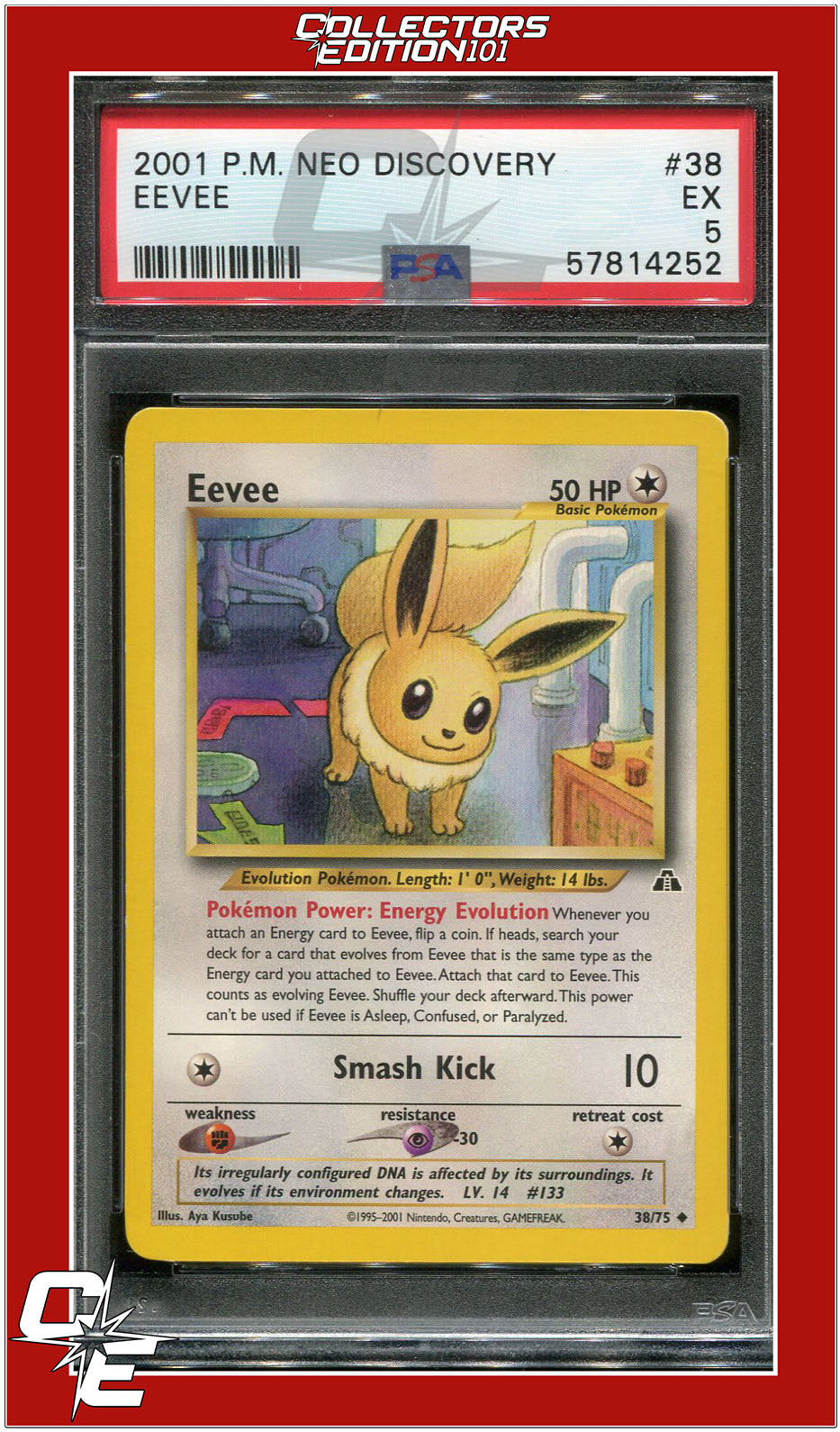 Neo Discovery 38 Eevee PSA 5