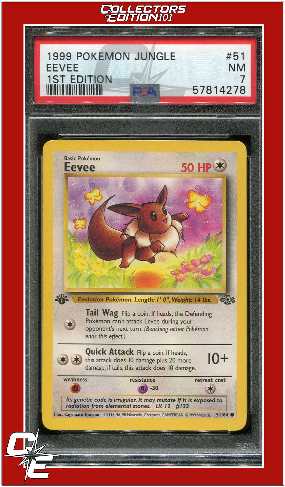 Jungle 51 Eevee 1st Edition PSA 7