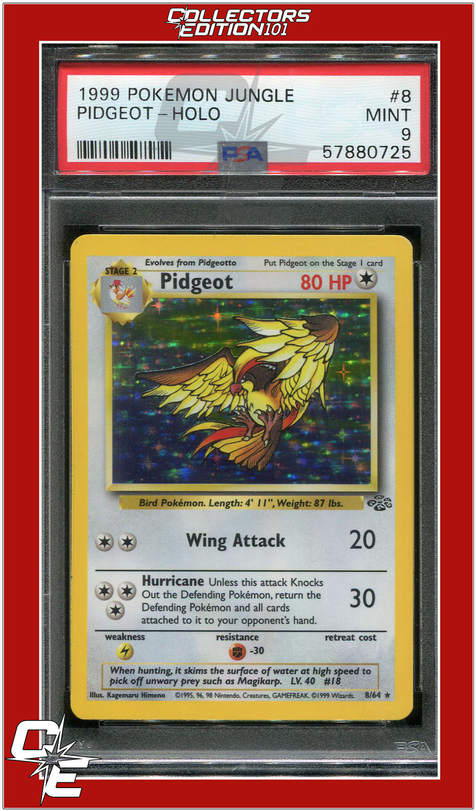 Jungle 8 Pidgeot Holo PSA 9