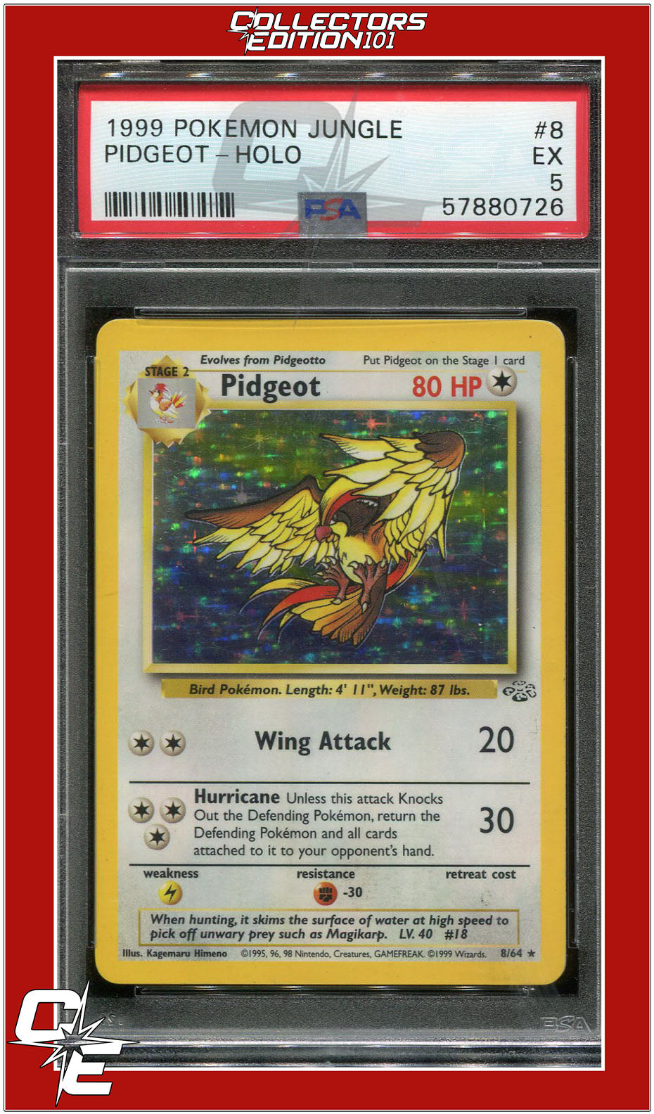 Jungle 8 Pidgeot Holo PSA 5