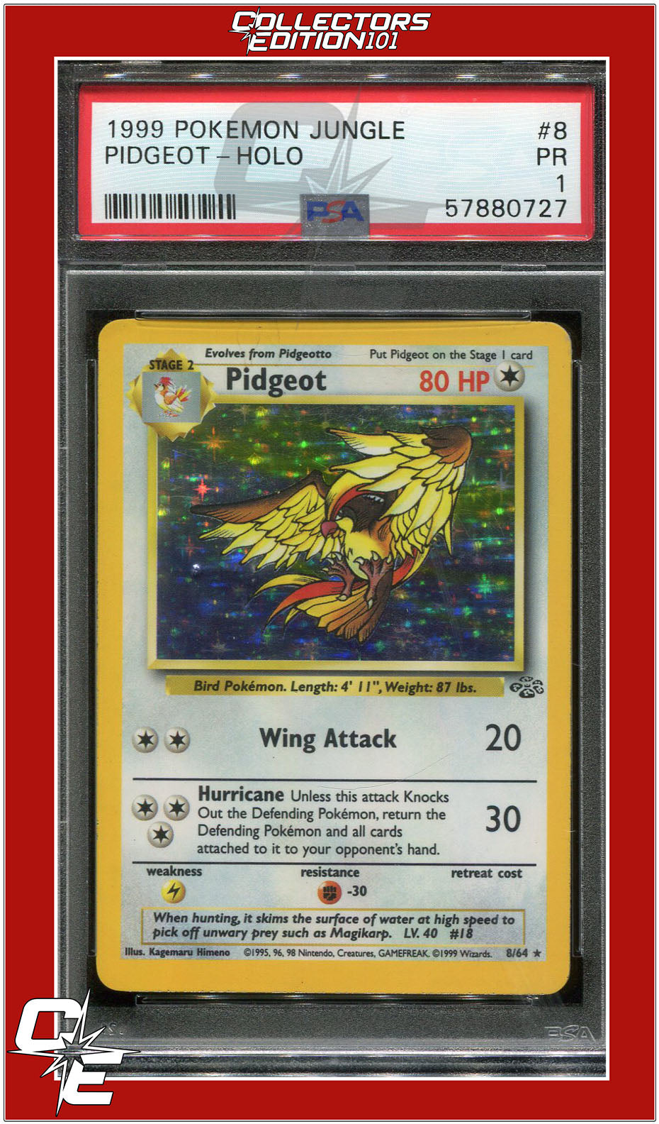 Jungle 8 Pidgeot Holo PSA 1