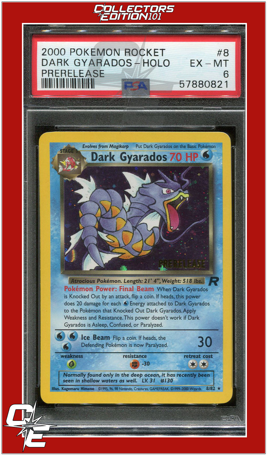 Team Rocket 8 Dark Gyarados Holo Prerelease PSA 6