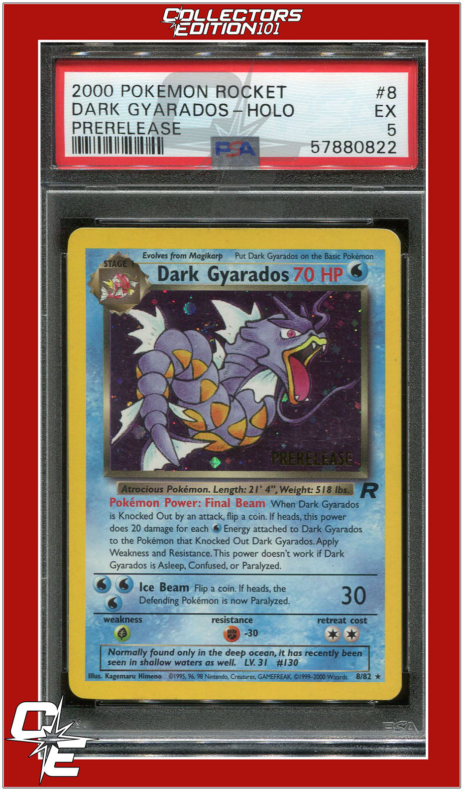 Team Rocket 8 Dark Gyarados Holo Prerelease PSA 5