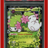 XY Black Star Promo XY148 Shaymin EX PSA 7