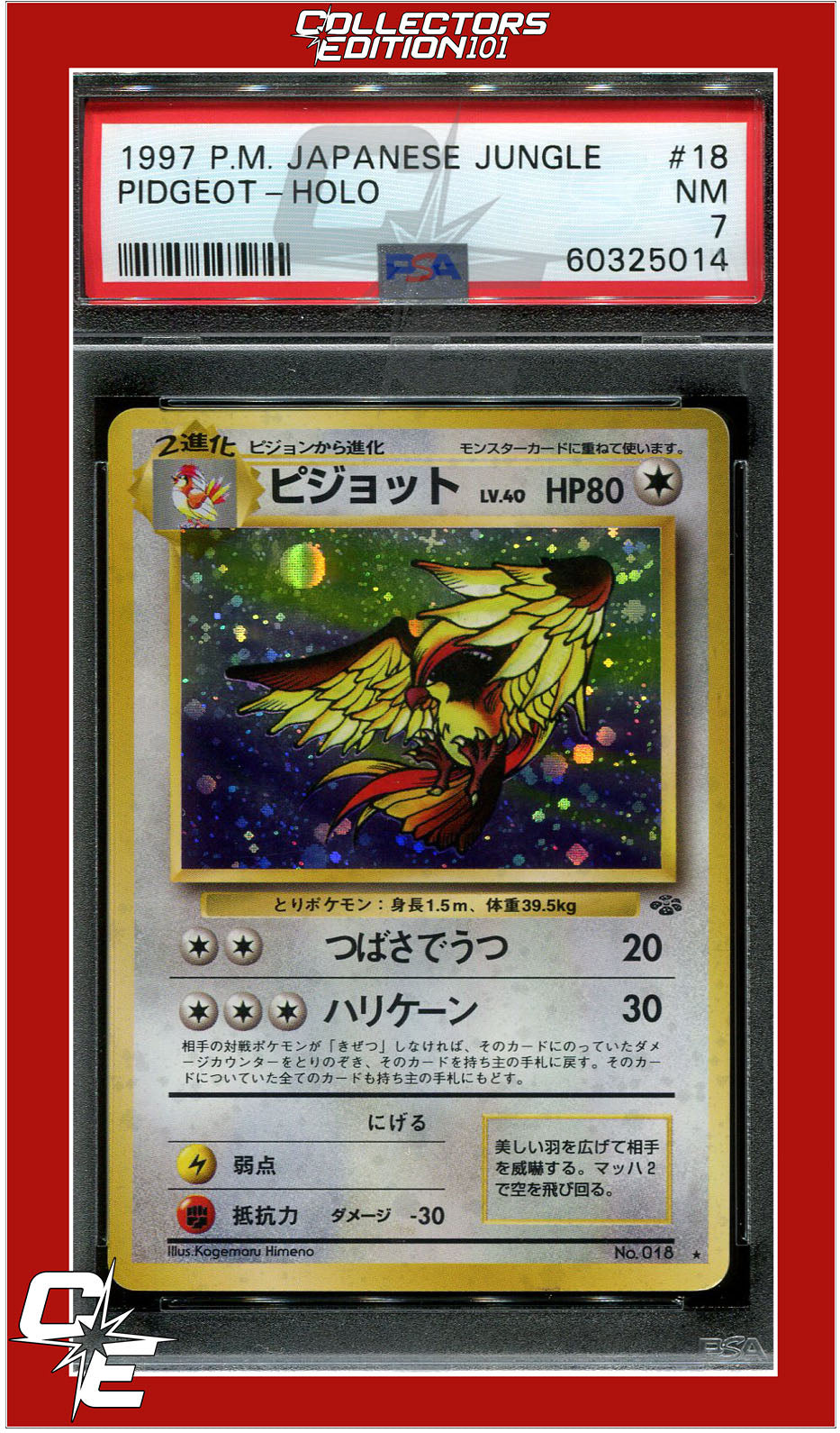 Japanese Jungle 18 Pidgeot Holo PSA 7