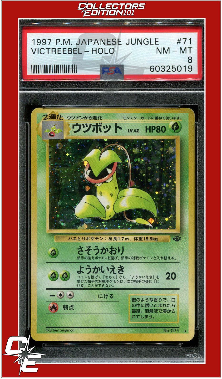 Japanese Jungle 71 Victreebel Holo PSA 8