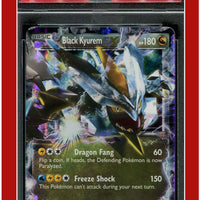 Legendary Treasures 100 Black Kyurem EX PSA 8