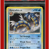 Stormfront 19 Gyarados PSA 7