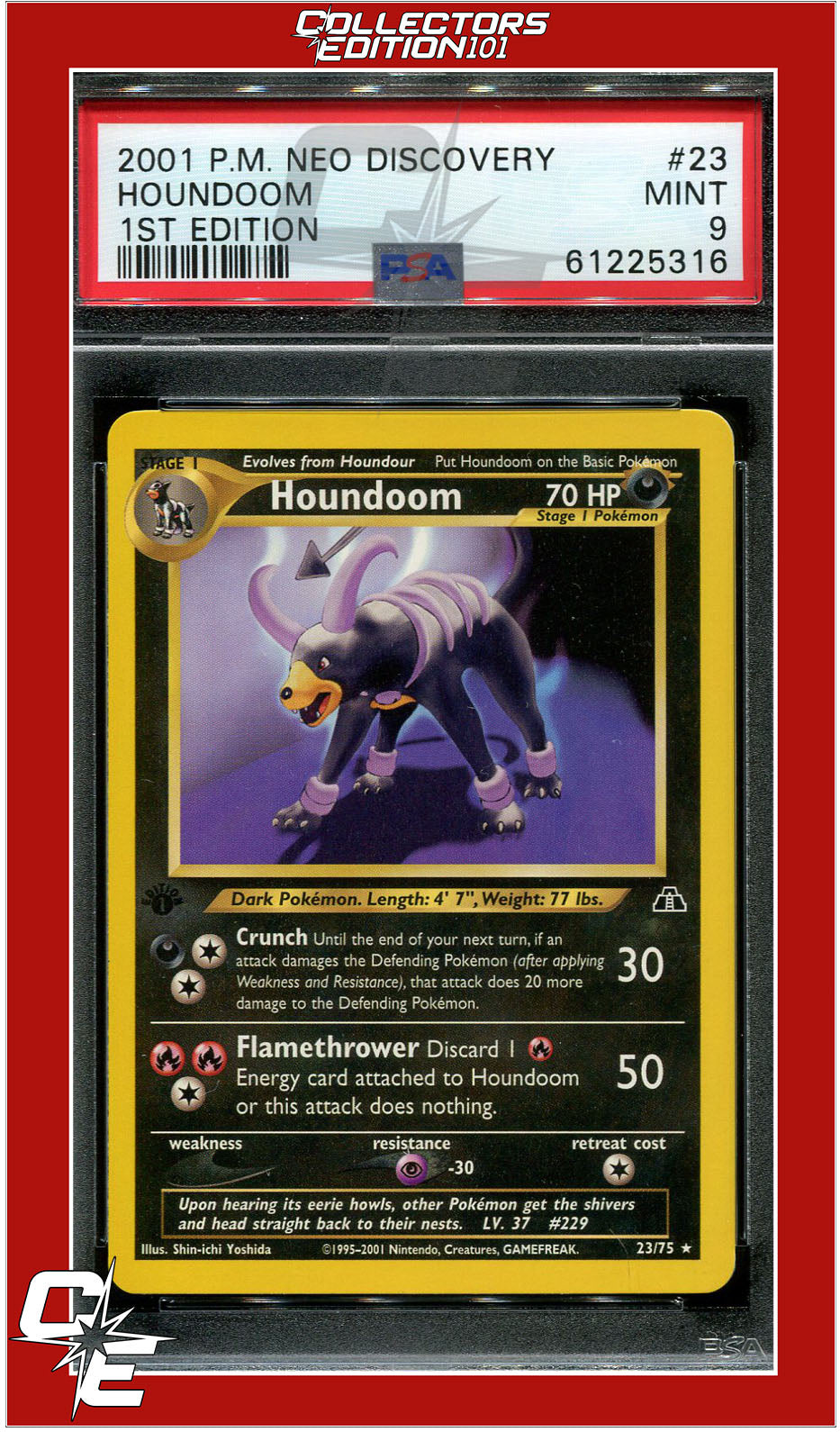 Pokemon Houndoom deals 23