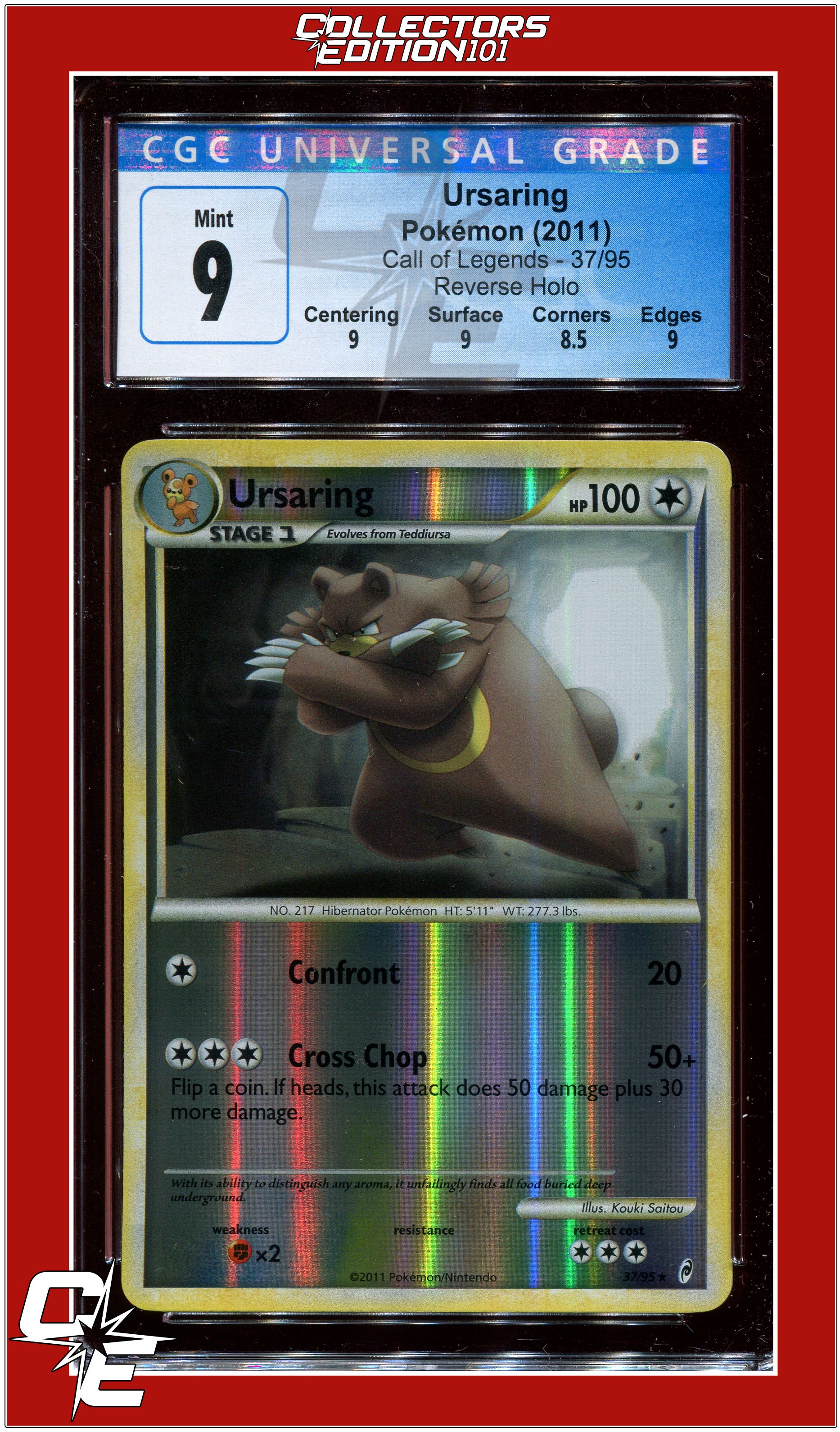 pokemon cards united kingdom Pokémon TCG: Paradox Clash Tin