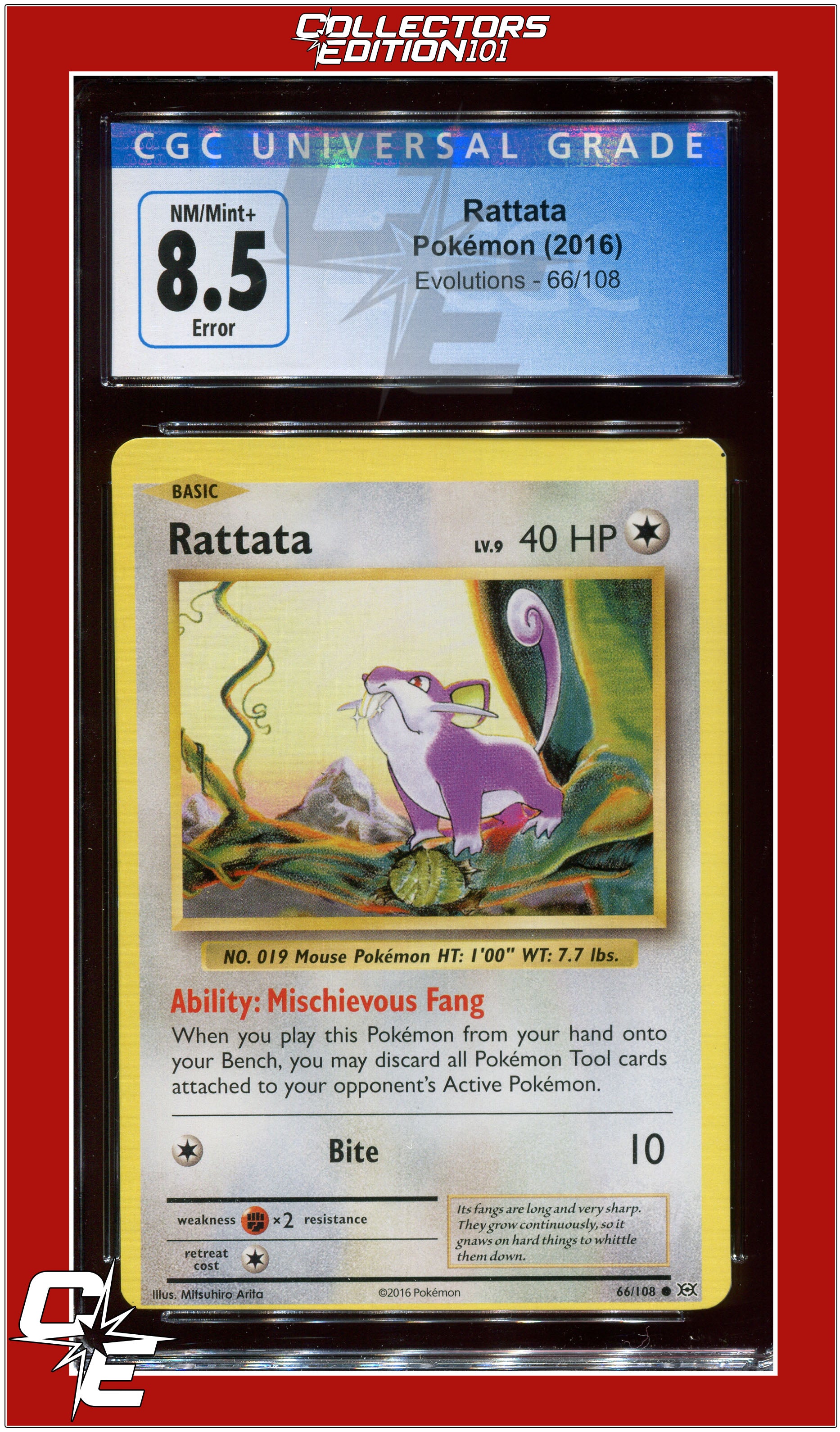 Evolutions Rattata Minor Miscut 66/108 CGC 8.5 *ERROR