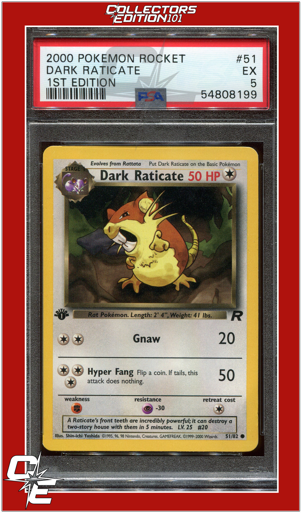 Team Rocket 51 Dark Raticate 1st Edition PSA 5