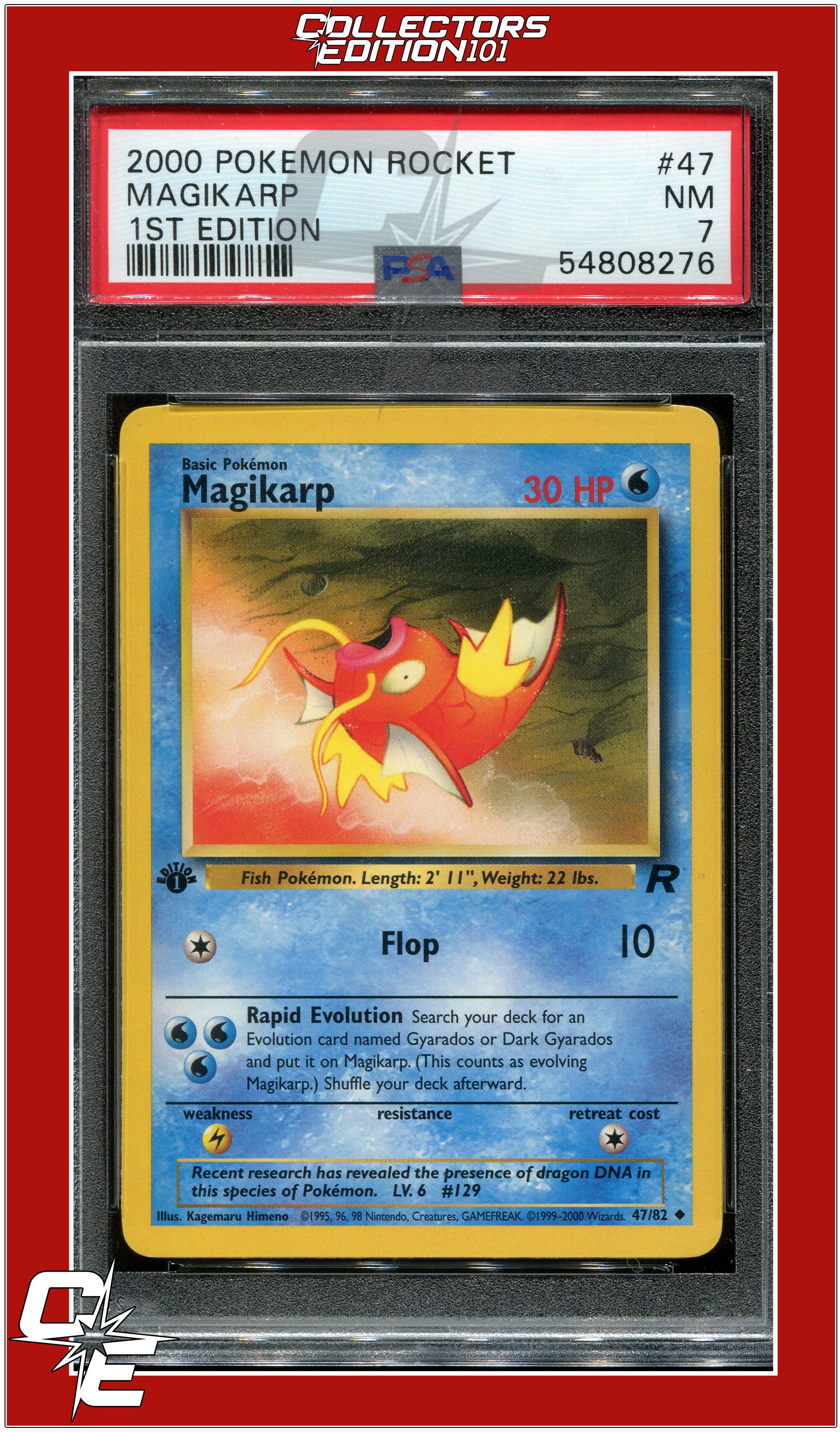 magikarp evolution card