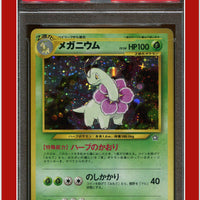 Japanese Neo 154 Meganium Holo Premium File PSA 7